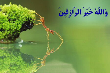 آیات محرمانه قرآن برای گشایش رزق و روزی