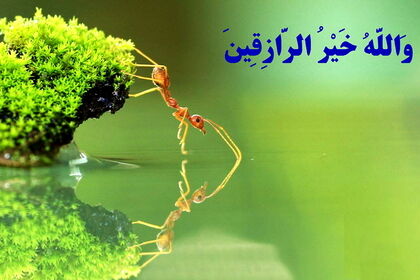 آیات محرمانه قرآن برای گشایش رزق و روزی