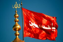 عشق حسین از کودکی آغاز می شود/ مداحی زیبای دو پسربچه در حرم امام حسین (ع)