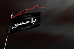 همخوانی پرشور جمعی از ایرانیان در حرم امام حسین 