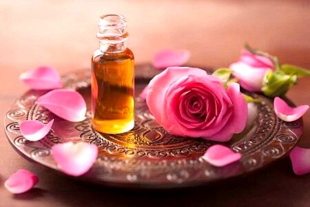 محبوب ترین شغل نزد خداوند
